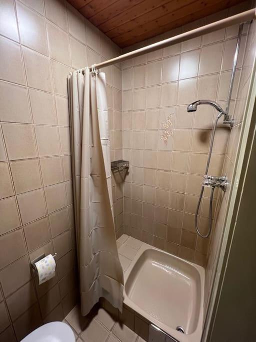 Einzimmerwohnung Im Gruenen/innsbruck/2 Pax Apartment